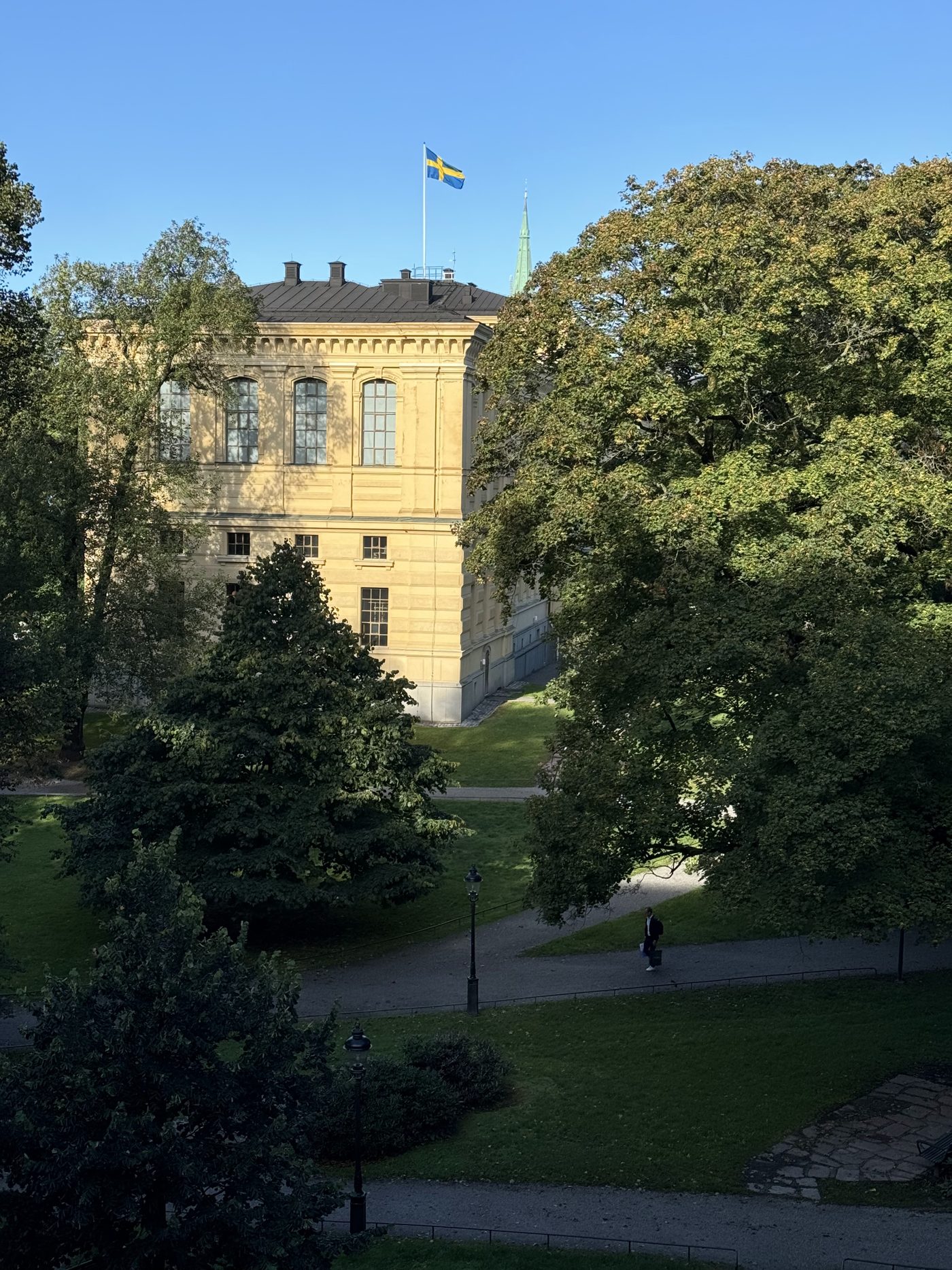 Utsikt från mottagningen över Humlegården, med Kungliga biblioteket bakom träden